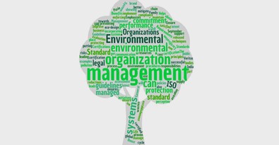 Environmental Management
